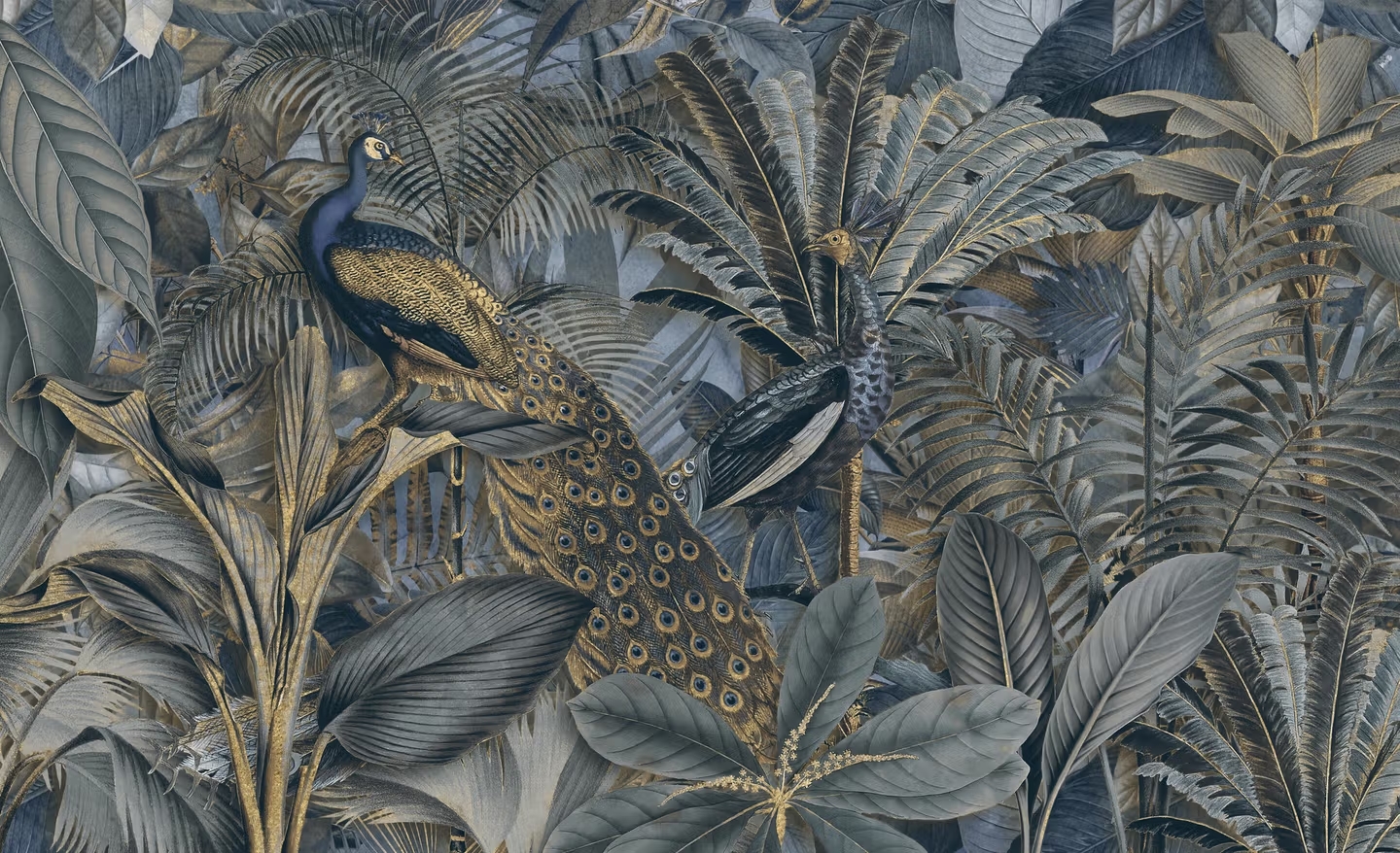 Tropical Birds Peacocks Theme Wallpaper Mural